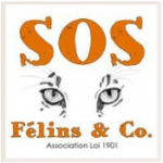 SOS Félins & Co